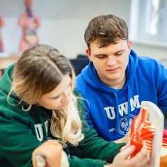 Dwoje studentów analizuje modele anatomiczne mięśni i kości.