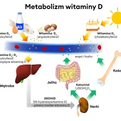 Ibuvit D3 4000 lek czy suplement - co musisz wiedzieć o witaminie D