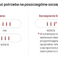 Szczepionki na NFZ czy skojarzone: co wybrać dla swojego dziecka?
