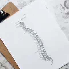 Czy potrzebne skierowanie do fizjoterapeuty? Sprawdź, co musisz wiedzieć