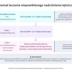 Schemat leczenia nadciśnienia: od terapii dwuskładnikowej, przez trójskładnikową, po dodanie spironolaktonu lub innych leków, gdy telmisartan nie wystarcza.
