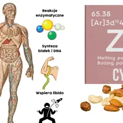 Jak zażywać cynk, aby uniknąć skutków ubocznych i poprawić zdrowie