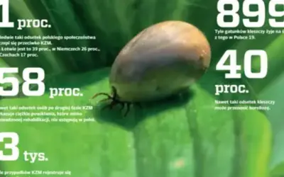 Kleszczowe zapalenie mózgu (KZM) to poważna choroba. 58% osób po drugiej fazie KZM ma powikłania. 40% kleszczy przenosi boreliozę.