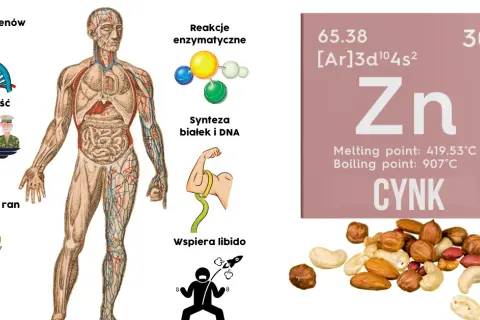 Jak zażywać cynk, aby uniknąć skutków ubocznych i poprawić zdrowie
