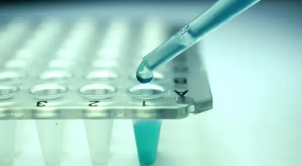 Kropla błękitnego płynu z pipety spada do probówki. To kluczowy etap w procesie leczenia biologicznego, gdzie precyzja jest najważniejsza.