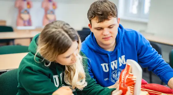 Dwoje studentów analizuje modele anatomiczne mięśni i kości.