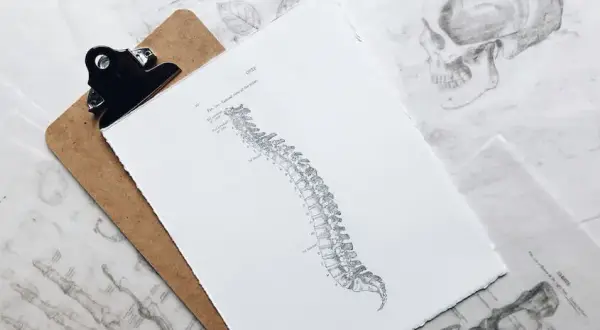 Czy potrzebne skierowanie do fizjoterapeuty? Sprawdź, co musisz wiedzieć