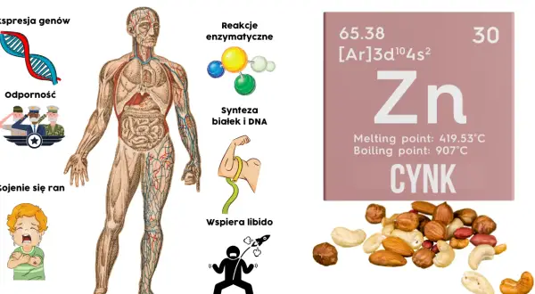 Jak zażywać cynk, aby uniknąć skutków ubocznych i poprawić zdrowie