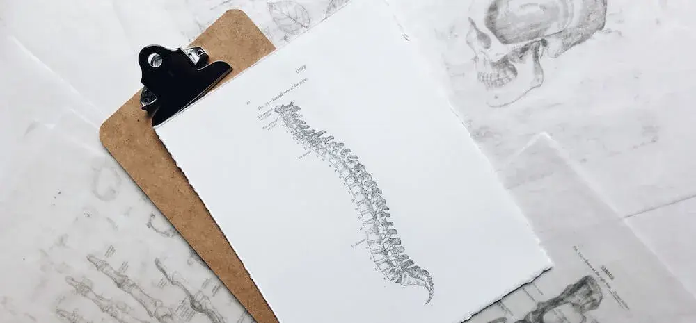 Czy potrzebne skierowanie do fizjoterapeuty? Sprawdź, co musisz wiedzieć