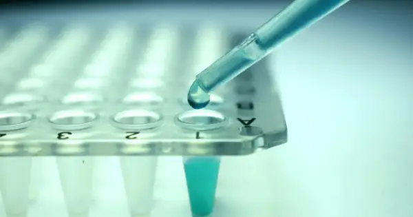 Kropla błękitnego płynu z pipety spada do probówki. To kluczowy etap w procesie leczenia biologicznego, gdzie precyzja jest najważniejsza.