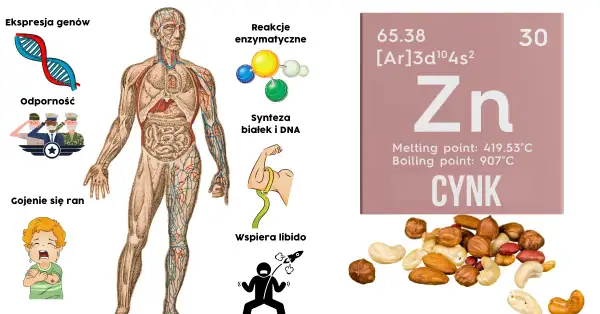 Jak zażywać cynk, aby uniknąć skutków ubocznych i poprawić zdrowie